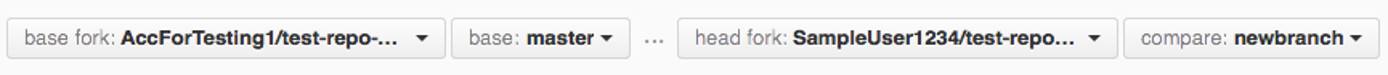 GitHub branch filters. GitHub branch filters.