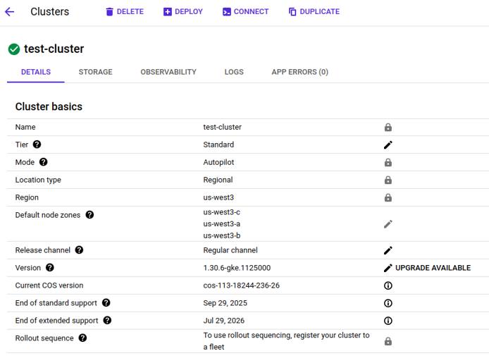 Google Cloud console displaying detailed information about a GKE cluster.
