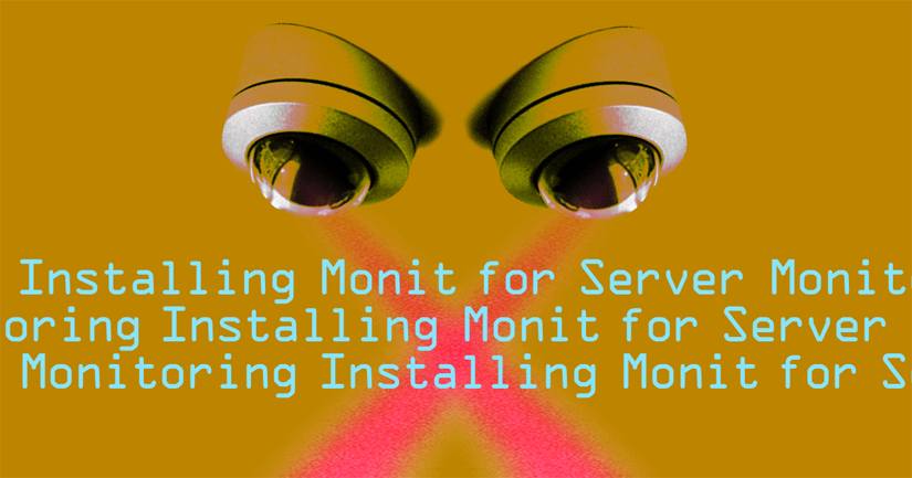 Installing Monit for Server Monitoring