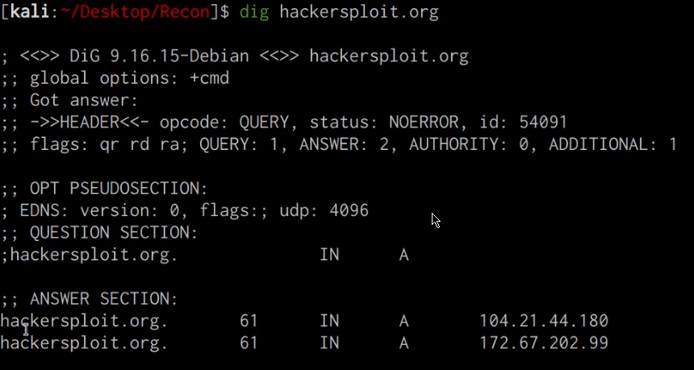 Dig utility output